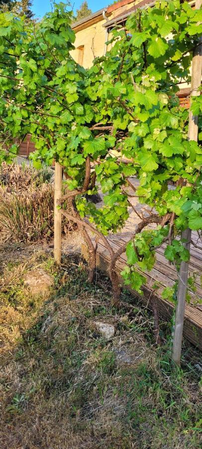 La Boissiere, Le Domaine De Brugal Otel Carsac-Aillac Dış mekan fotoğraf